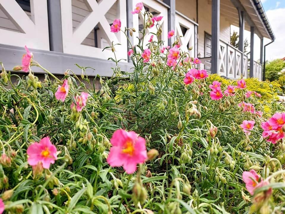 Villa Nadmorz Sztutowo Esterno foto
