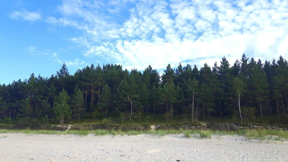 Villa Nadmorz Sztutowo Esterno foto